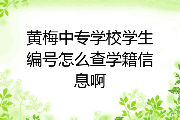 黄梅中专学校学生编号怎么查学籍信息啊