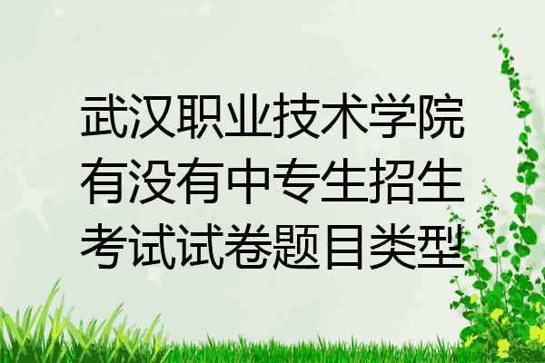 武汉职业技术学院有没有中专生招生考试试卷题目类型