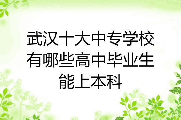 武汉十大中专学校有哪些高中毕业生能上本科