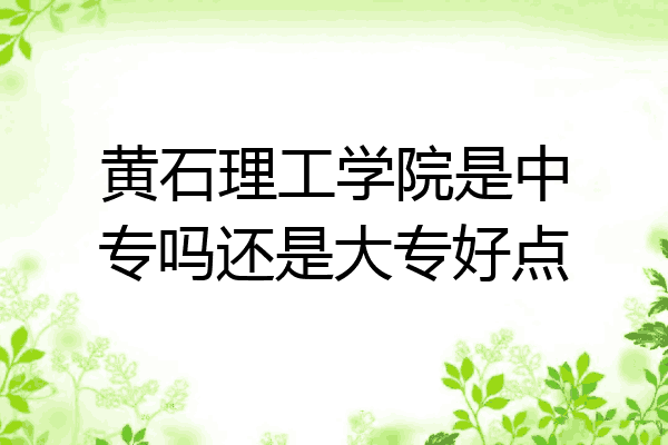 黄石理工学院是中专吗还是大专好点