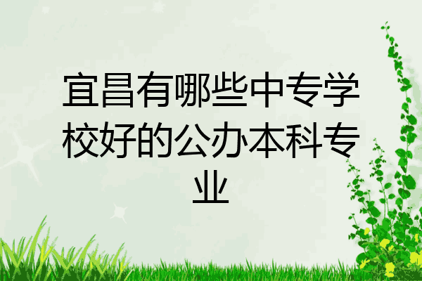 宜昌有哪些中专学校好的公办本科专业