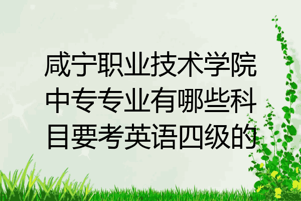 咸宁职业技术学院中专专业有哪些科目要考英语四级的