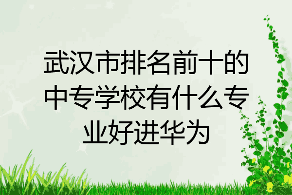 武汉市排名前十的中专学校有什么专业好进华为