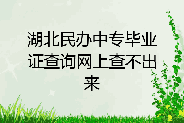 湖北民办中专毕业证查询网上查不出来