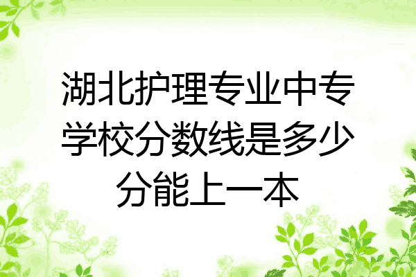 湖北护理专业中专学校分数线是多少分能上一本
