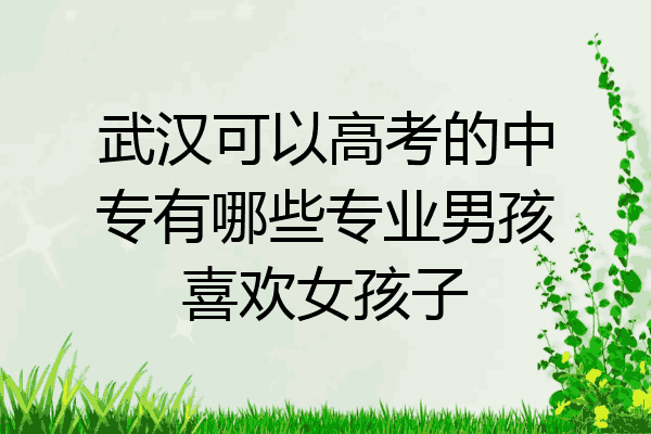 武汉可以高考的中专有哪些专业男孩喜欢女孩子