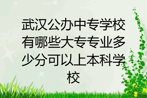 武汉公办中专学校有哪些大专专业多少分可以上本科学校