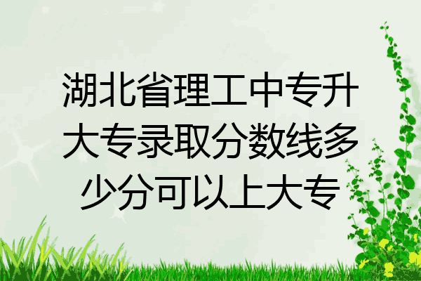 湖北省理工中专升大专录取分数线多少分可以上大专