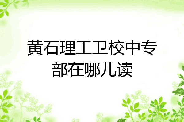 黄石理工卫校中专部在哪儿读