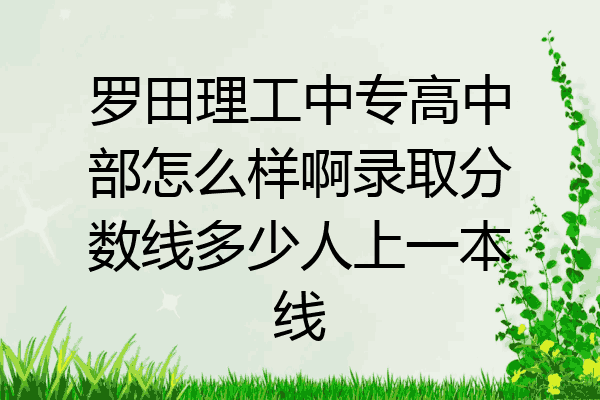 罗田理工中专高中部怎么样啊录取分数线多少人上一本线