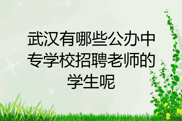 武汉有哪些公办中专学校招聘老师的学生呢