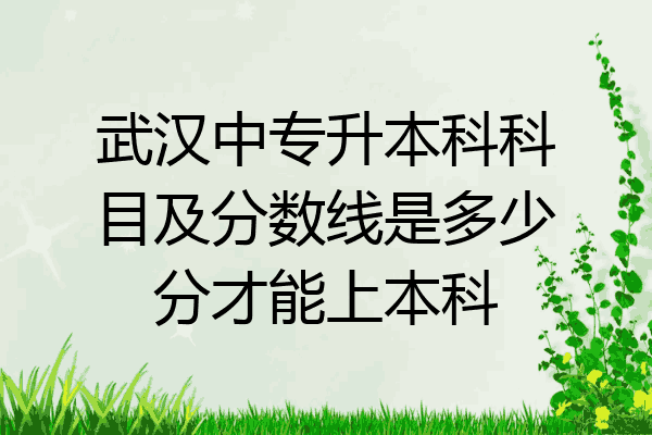 武汉中专升本科科目及分数线是多少分才能上本科
