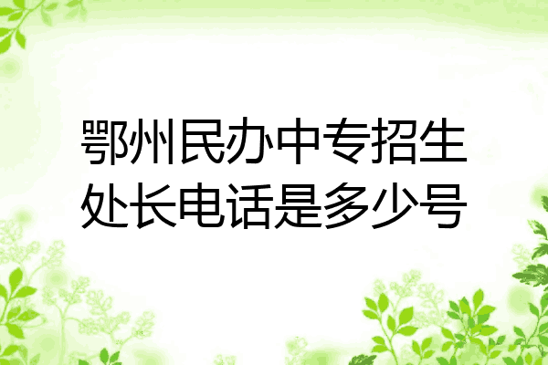 鄂州民办中专招生处长电话是多少号
