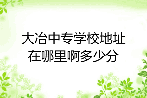 大冶中专学校地址在哪里啊多少分