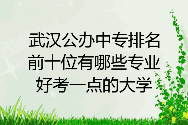 武汉公办中专排名前十位有哪些专业好考一点的大学