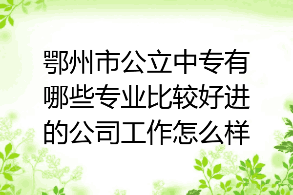 鄂州市公立中专有哪些专业比较好进的公司工作怎么样