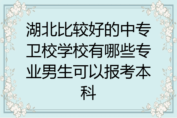 湖北比较好的中专卫校学校有哪些专业男生可以报考本科