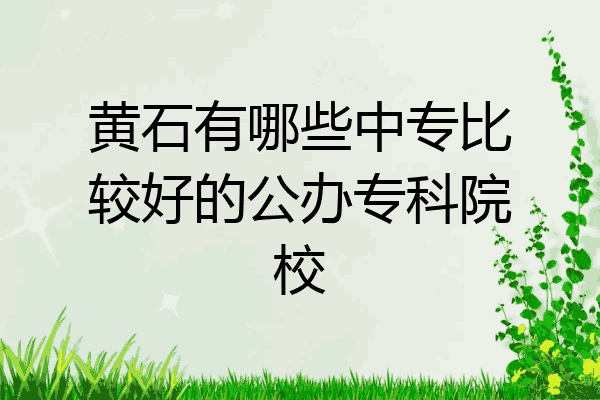 黄石有哪些中专比较好的公办专科院校