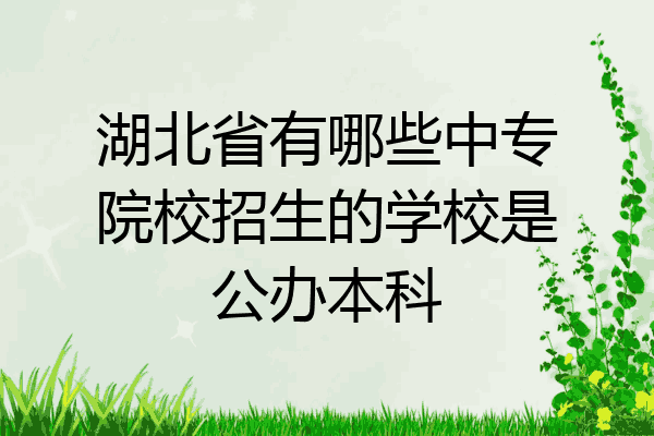 湖北省有哪些中专院校招生的学校是公办本科