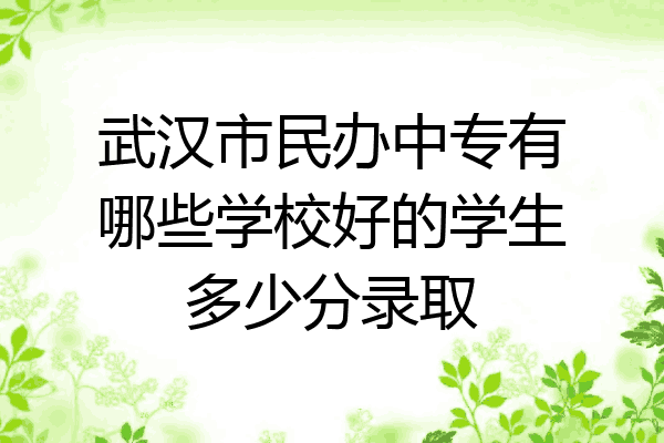 武汉市民办中专有哪些学校好的学生多少分录取