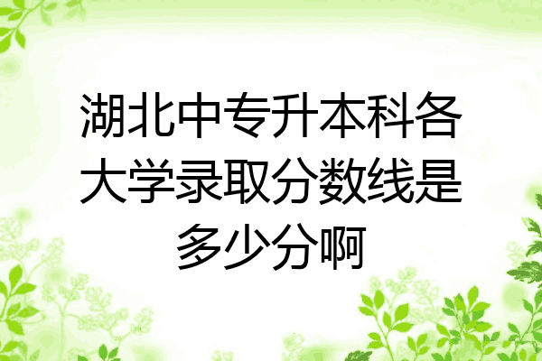 湖北中专升本科各大学录取分数线是多少分啊