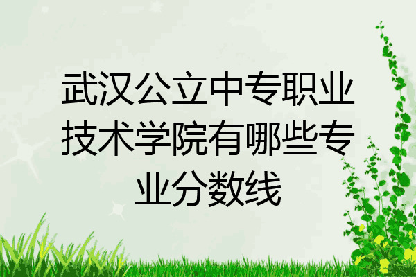 武汉公立中专职业技术学院有哪些专业分数线