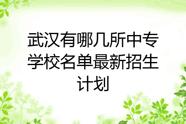 武汉有哪几所中专学校名单最新招生计划