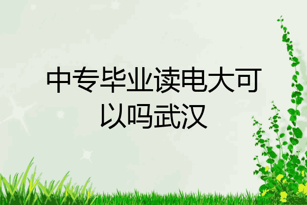 中专毕业读电大可以吗武汉