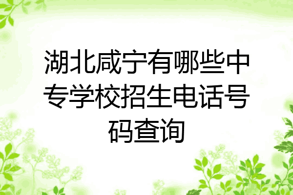 湖北咸宁有哪些中专学校招生电话号码查询