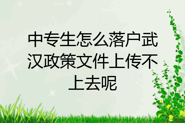 中专生怎么落户武汉政策文件上传不上去呢