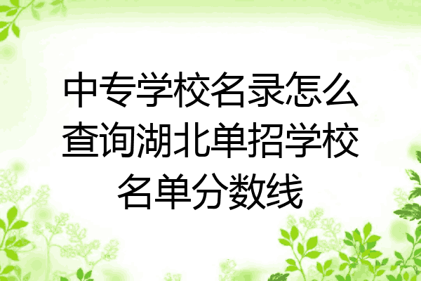 中专学校名录怎么查询湖北单招学校名单分数线