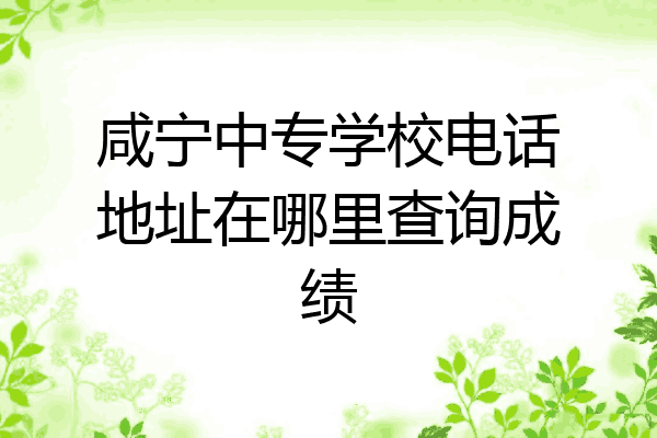 咸宁中专学校电话地址在哪里查询成绩