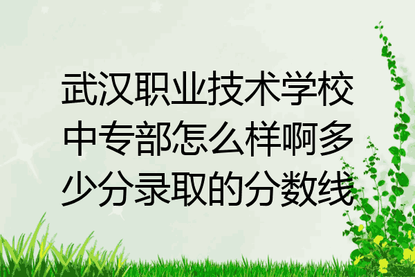 武汉职业技术学校中专部怎么样啊多少分录取的分数线