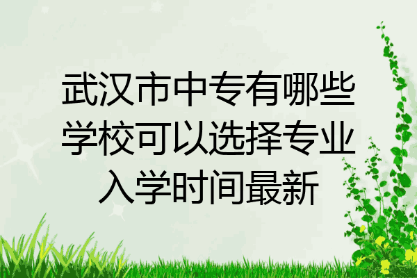 武汉市中专有哪些学校可以选择专业入学时间最新