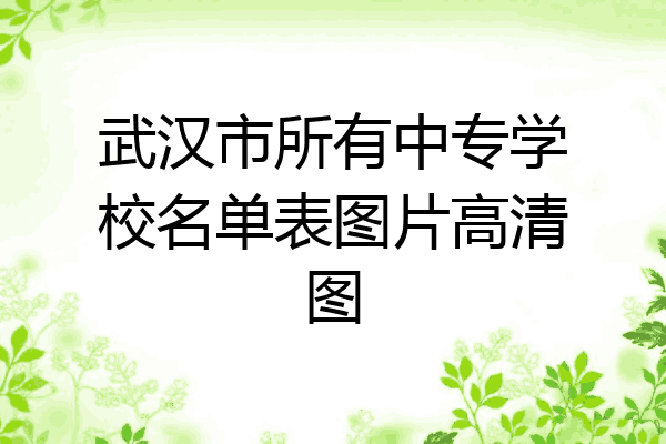 武汉市所有中专学校名单表图片高清图