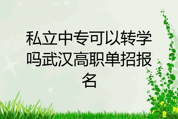 私立中专可以转学吗武汉高职单招报名