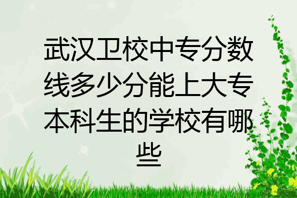 武汉卫校中专分数线多少分能上大专本科生的学校有哪些