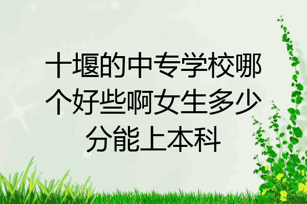 十堰的中专学校哪个好些啊女生多少分能上本科