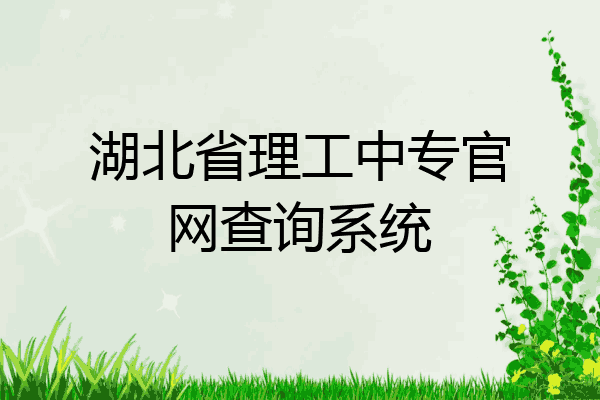 湖北省理工中专官网查询系统
