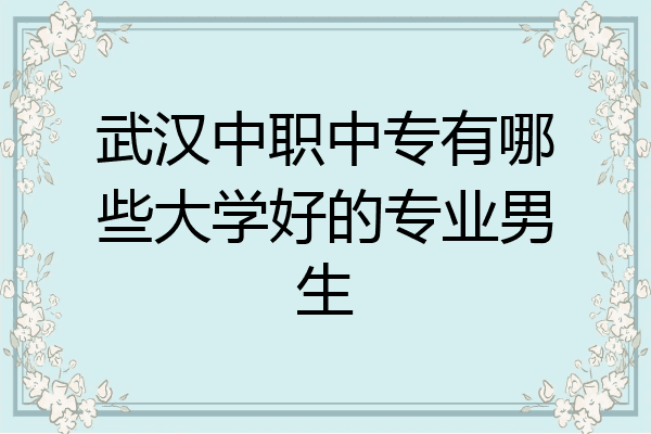 武汉中职中专有哪些大学好的专业男生