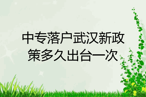 中专落户武汉新政策多久出台一次
