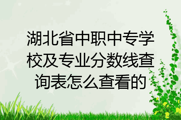 湖北省中职中专学校及专业分数线查询表怎么查看的