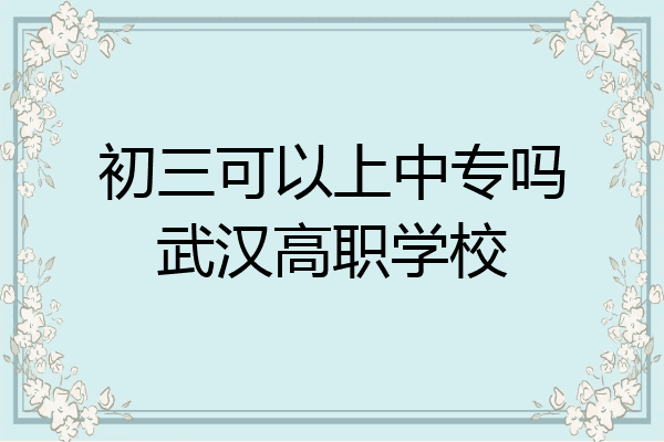 初三可以上中专吗武汉高职学校