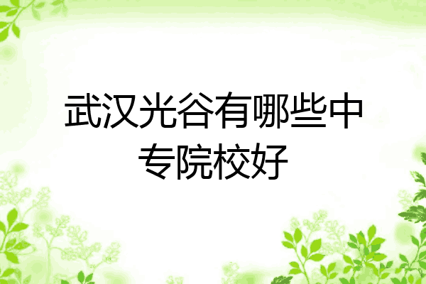 武汉光谷有哪些中专院校好
