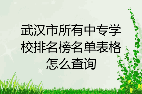 武汉市所有中专学校排名榜名单表格怎么查询