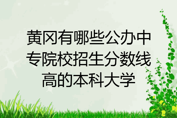 黄冈有哪些公办中专院校招生分数线高的本科大学