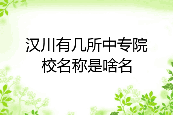 汉川有几所中专院校名称是啥名