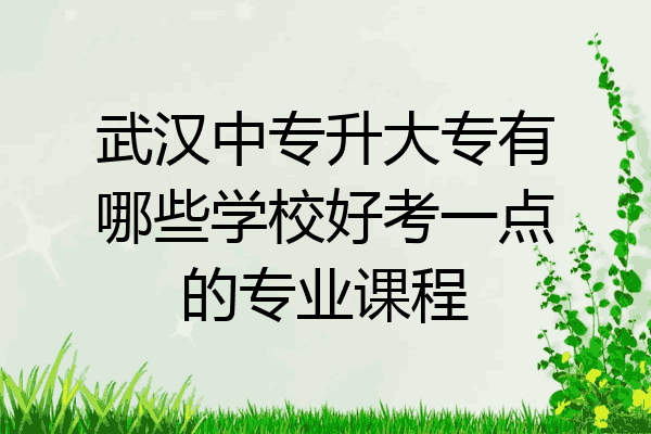 武汉中专升大专有哪些学校好考一点的专业课程