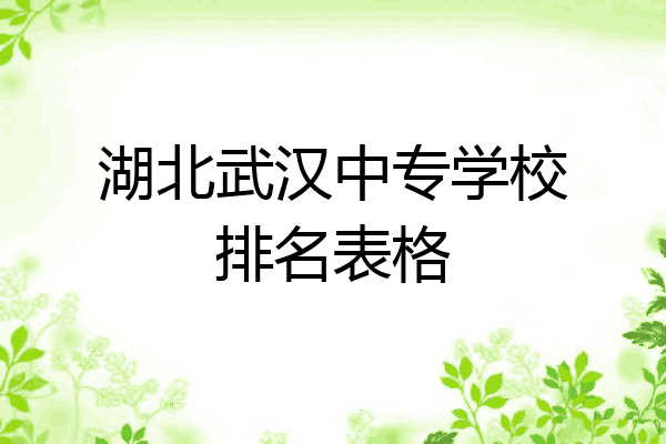 湖北武汉中专学校排名表格