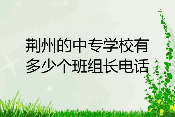 荆州的中专学校有多少个班组长电话